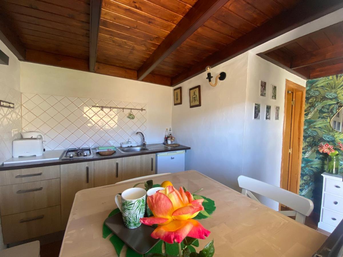 Pensjonat Juncalillo House Gáldar Zewnętrze zdjęcie